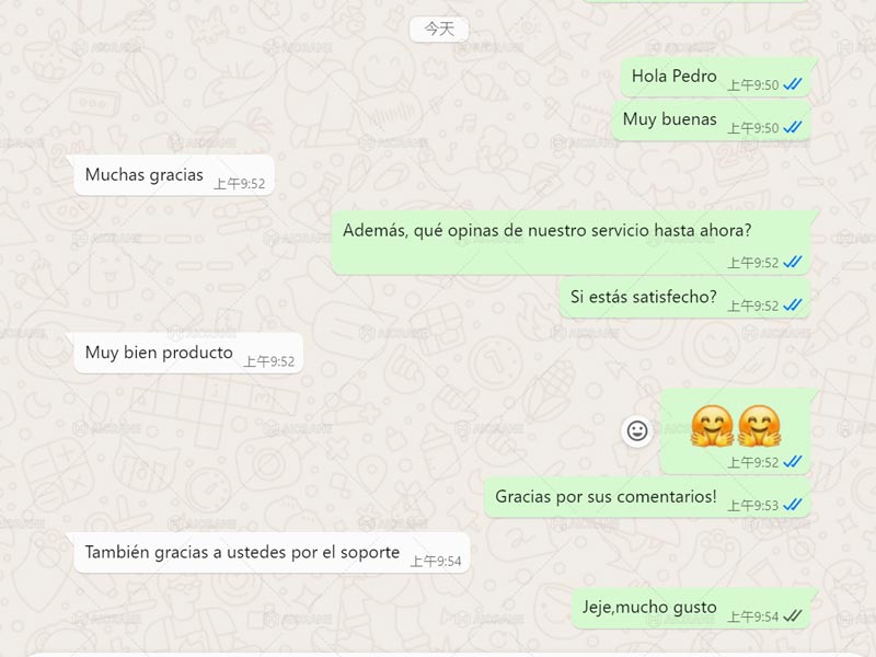 Elogio del Cliente de Aicrane Grúa RTG